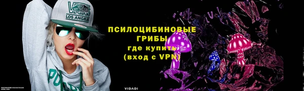 МДПВ Горно-Алтайск