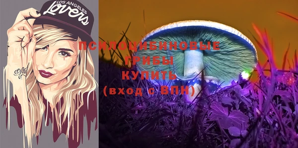 МДПВ Горно-Алтайск