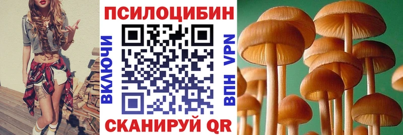 Галлюциногенные грибы Cubensis  Елизово 