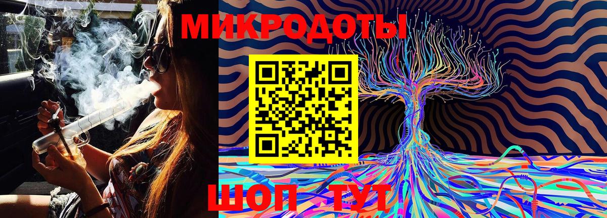 Галлюциногенные грибы Psilocybe Елизово