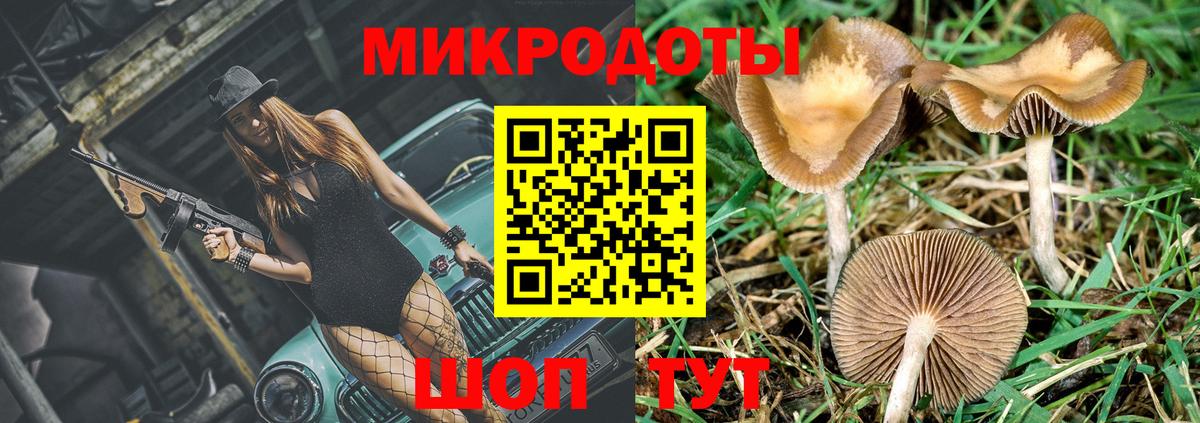 Псилоцибиновые грибы мицелий  Вход с VPN  Псилоцибиновые грибы Psilocybine cubensis  Елизово 