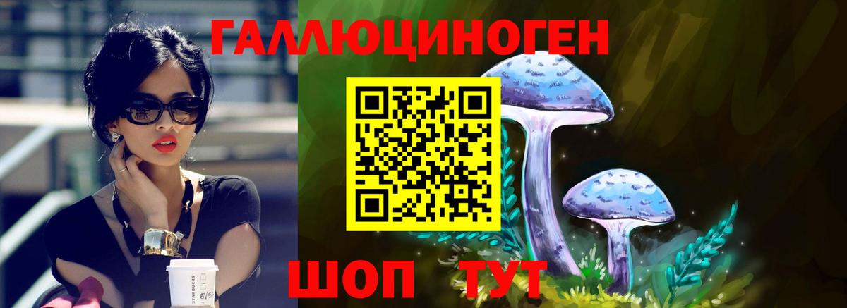 Псилоцибиновые грибы Cubensis  Елизово 