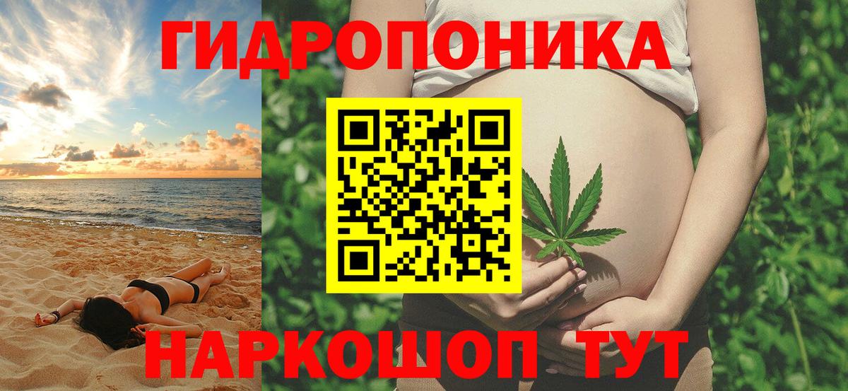 Конопля LSD WEED  Шишки марихуана White Widow  Вход с VPN  Каннабис индика  Елизово 